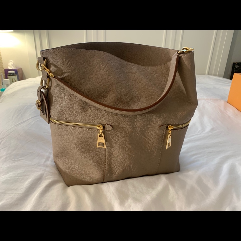 EC Luis Vuitton handbag